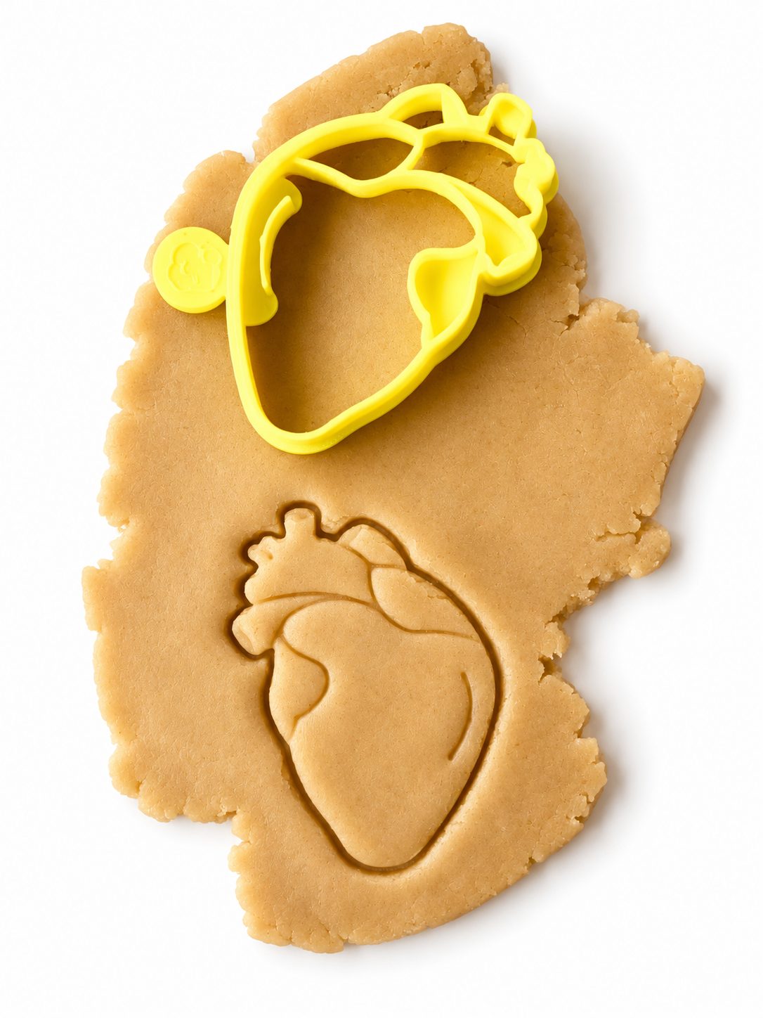 Anatomical Heart Cookie Cutter